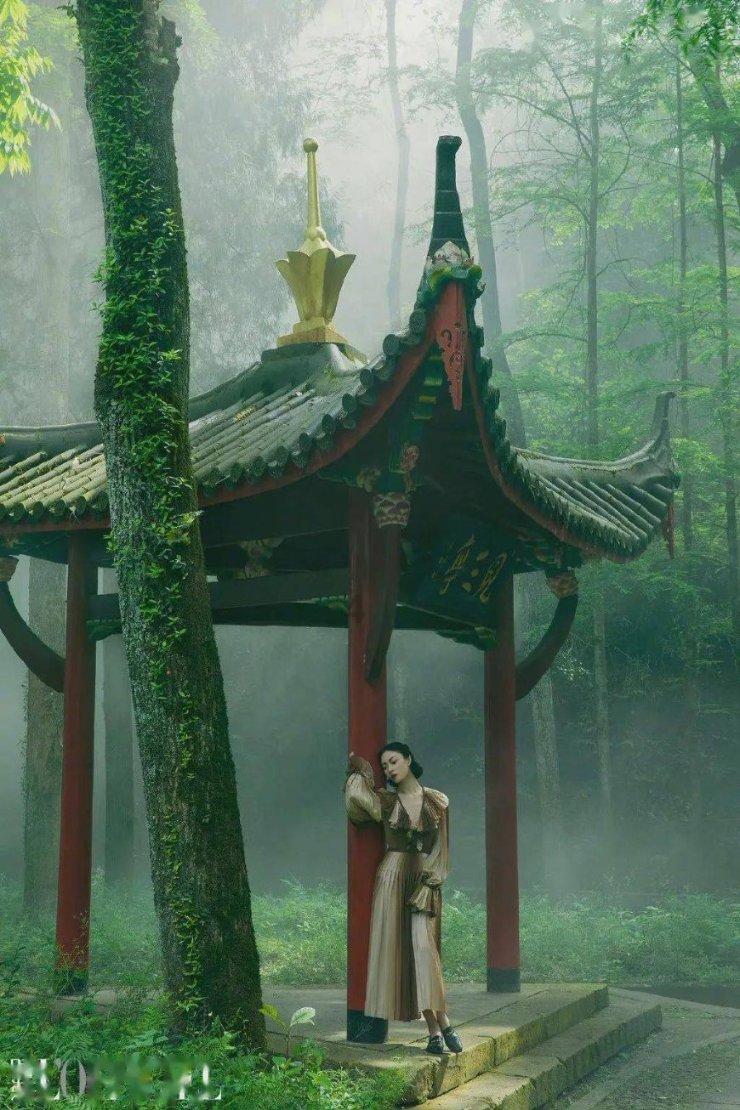 镜之边缘